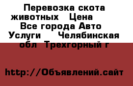 Перевозка скота животных › Цена ­ 39 - Все города Авто » Услуги   . Челябинская обл.,Трехгорный г.